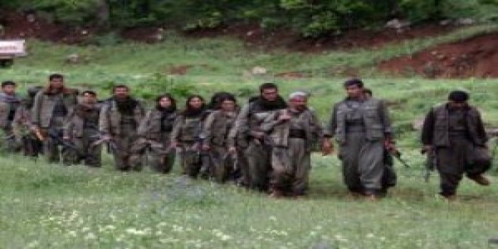 PKK'nın hain planı deşifre oldu!