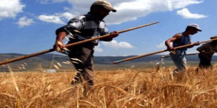 Çiftçiye 356 milyon lira tarımsal destek ödemesi
