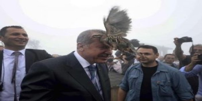 Erdoğan'ın Rize'deki fotoğraf olay oldu