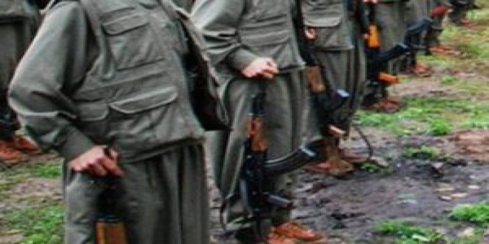 PKK teröristler bir aracı gasp etti