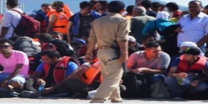 Ayvalık’ta 412 kaçak göçmen yakalandı