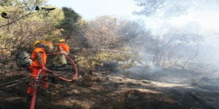 Lüks villalarda orman yangını paniği