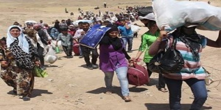 Ayvalık’ta 61 Kaçak Göçmen Yakalandı