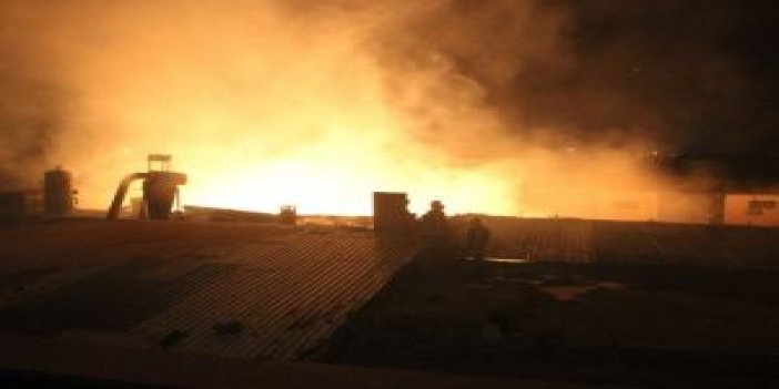 Kereste imalathanesinde yangın: 14 itfaiye aracı müdahale etti