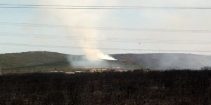 Tuzla’daki orman yangınları sabotaj sonucu mu çıktı ?