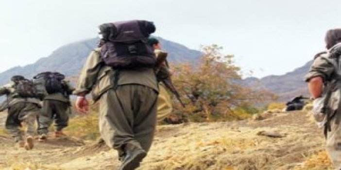 PKK'nın kaçırdığı AK Partili encümen serbest