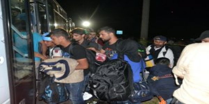 Suriyeliler er meydanına götürülüyor