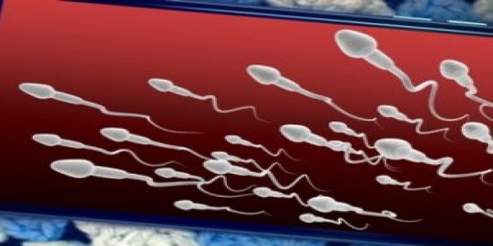 Sperm Bankası, Sperm Bağışında Bulunanlara Ücretsiz iPhone 6s Veriyor!