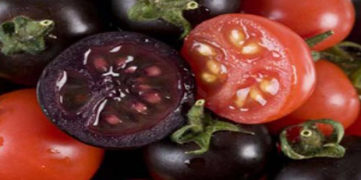 Kansere karşı mor domates