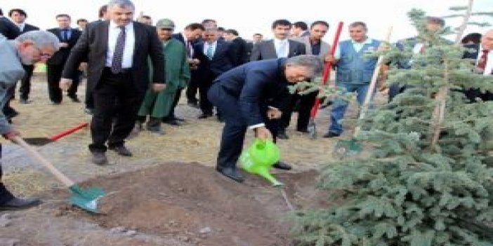 11.Cumhurbaşkanı Gül Hatıra Ormanı’na ağaç dikti