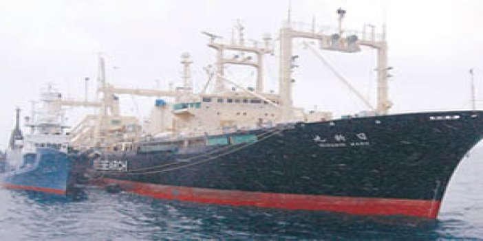 Türk gemisi kaçırıldı