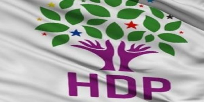 Rizeli HDP milletvekili adayı tutuklandı