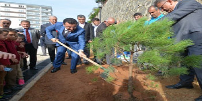 Trabzon'da yeşil alanlar artırılıyor