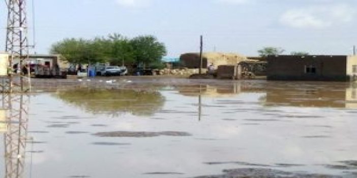 Şanlıurfa’nın sınır köylerini sel vurdu