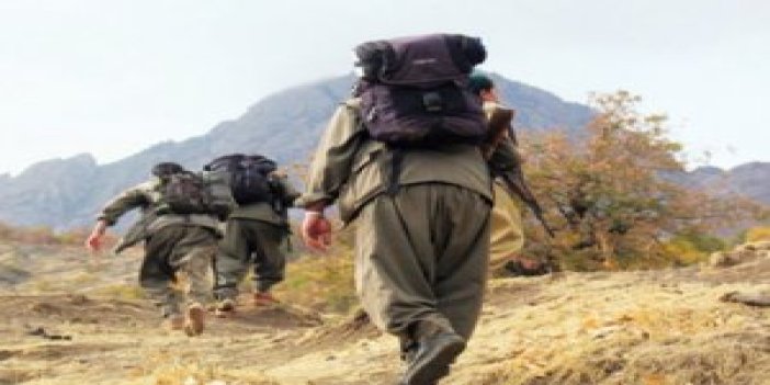 10 PKK'lı terörist teslim oldu