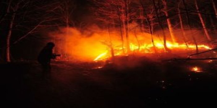 Polonezköy’de orman yangını