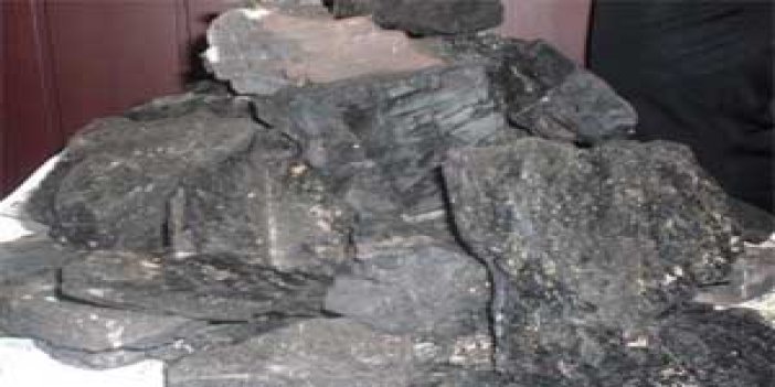 Kömür ararken kaya buldu