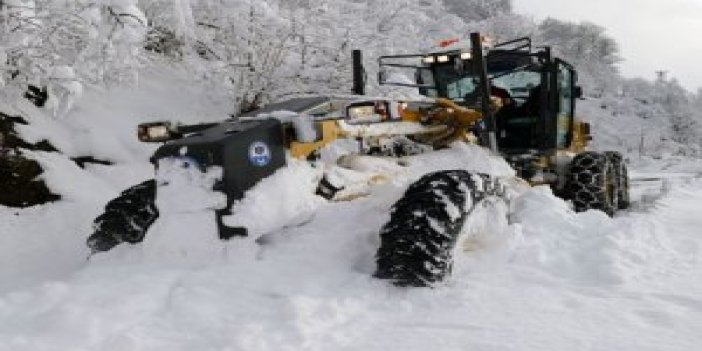 Trabzon'da kar hayatı olumsuz etkiledi