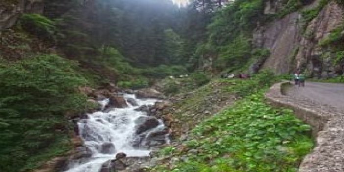 Trabzon'da milli parklara yoğun ilgi!
