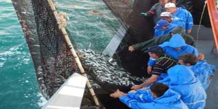 Karadeniz'de İlk Balık Avı Yapıldı