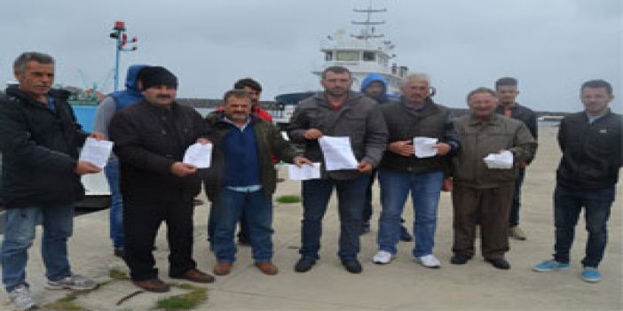 Trabzon'da salyangoz avcıları isyanda