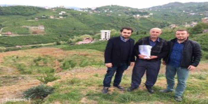 Trabzon'da izinsiz dökülen toprak heyelana neden oldu