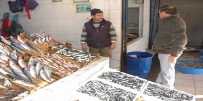 Trabzon'da balık tezgahta kaldı