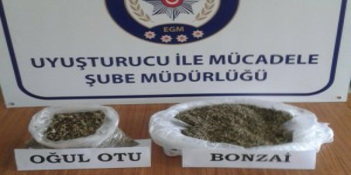 Trabzon'da uyuşturucu operasyonları