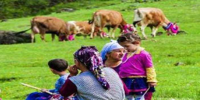 Trabzon'da yaylacılar göçe başladı