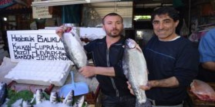 Trabzon'da gözde kültür balıkları