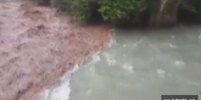 Rize'de ilginç görüntü: Biri çamurlu biri berrak