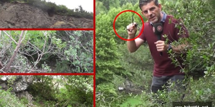 Trabzon Maçka'da polislerin gözünden kaçan delili Haber61 buldu