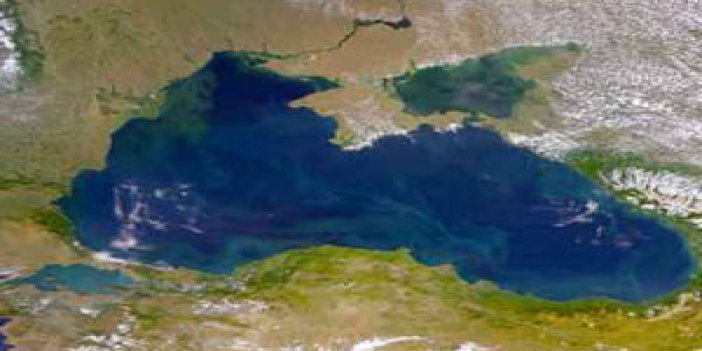 Karadeniz'de petrol heyecanı!