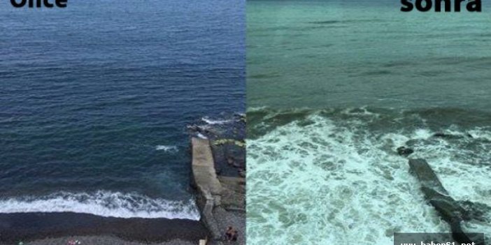 Trabzon'da dev dalgalar plajları yuttu