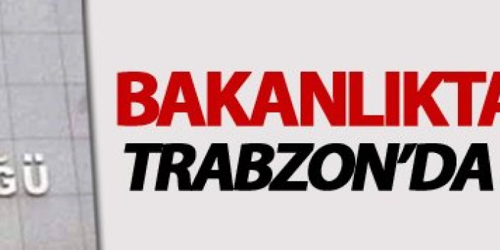 Trabzon'da FG plaka araştırması