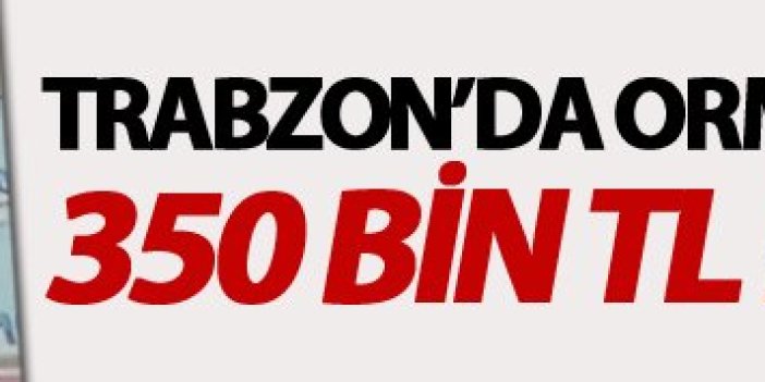 Trabzon'da 350 Bin TL'lik operasyon!