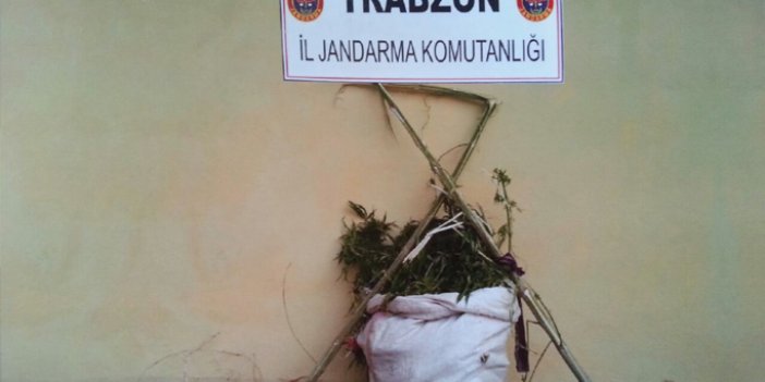 Trabzon'da uyuşturucu baskını