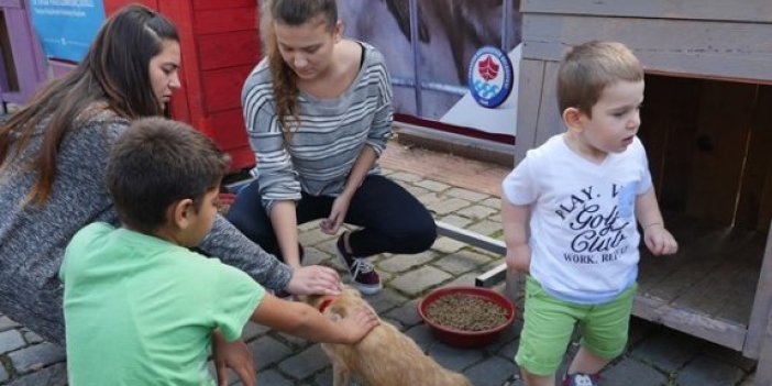Trabzon’da sokak hayvanları unutulmadı