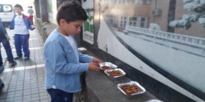 Trabzon'da çocuklar hayvanları besledi