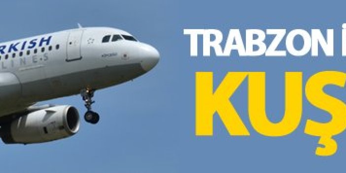 Trabzon İstanbul uçağına kuş çarptı