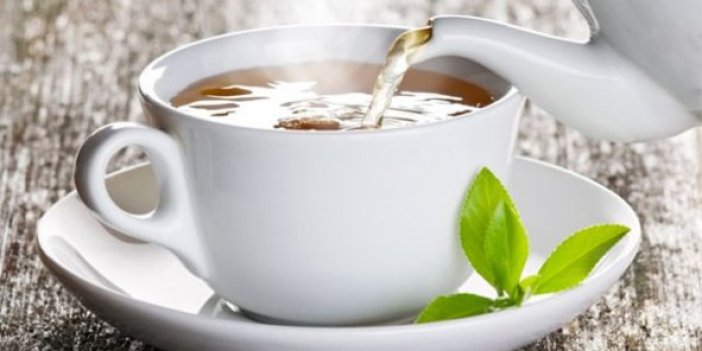 ÇAYKUR beyaz çay ile kansere çare arıyor