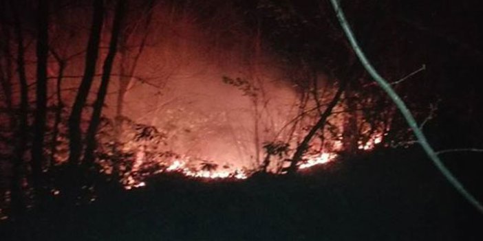 Trabzon'da orman yangını