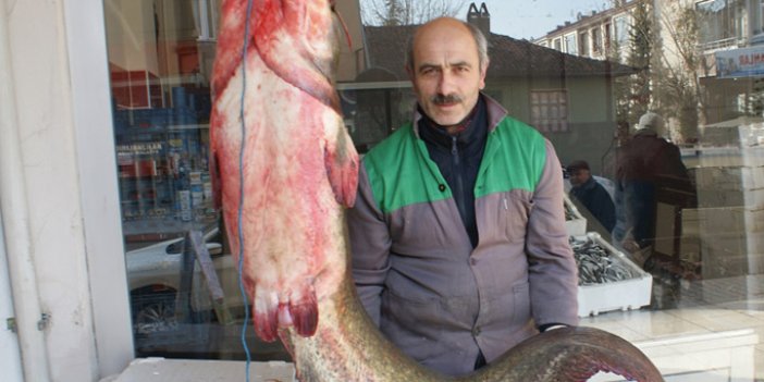 Karadenizli balıkçı dev balık yakaladı