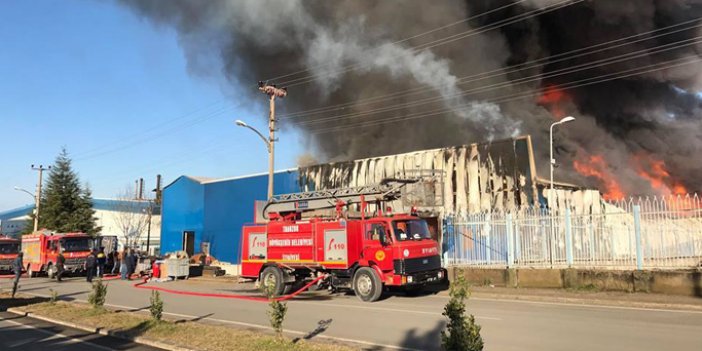 Trabzon'da Koca fabrika 15 dakikada kül oldu