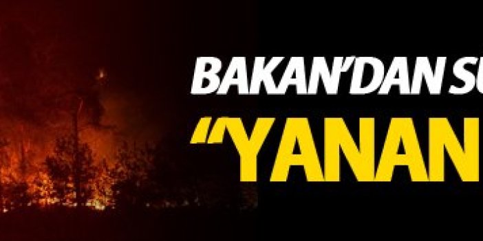 Bakan Eroğlu'dan Sürmene açıklaması: "Yanan alanlar..."