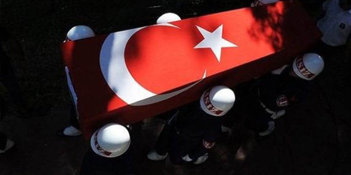 Bitlis'ten acı haber: 2 şehit