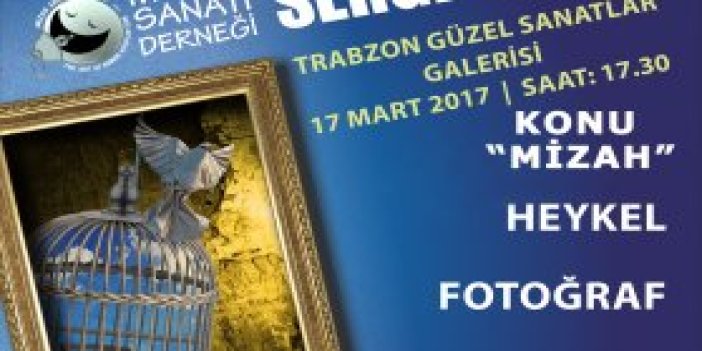 Trabzon'da 5. Görsel Mizahi sergisi