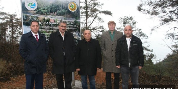 AK Parti ve CHP belediyeleri “Çamburnu” için el ele verecek 