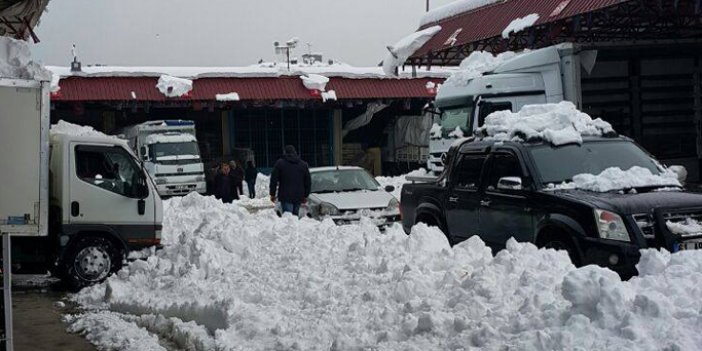 Trabzon sebze halini kar vurdu