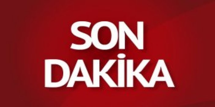 CHP'li vekil Elif Doğan Türkmen istifa etti!